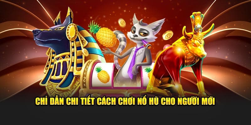 Chỉ dẫn chi tiết cách chơi nổ hũ Nohu90 cho người mới